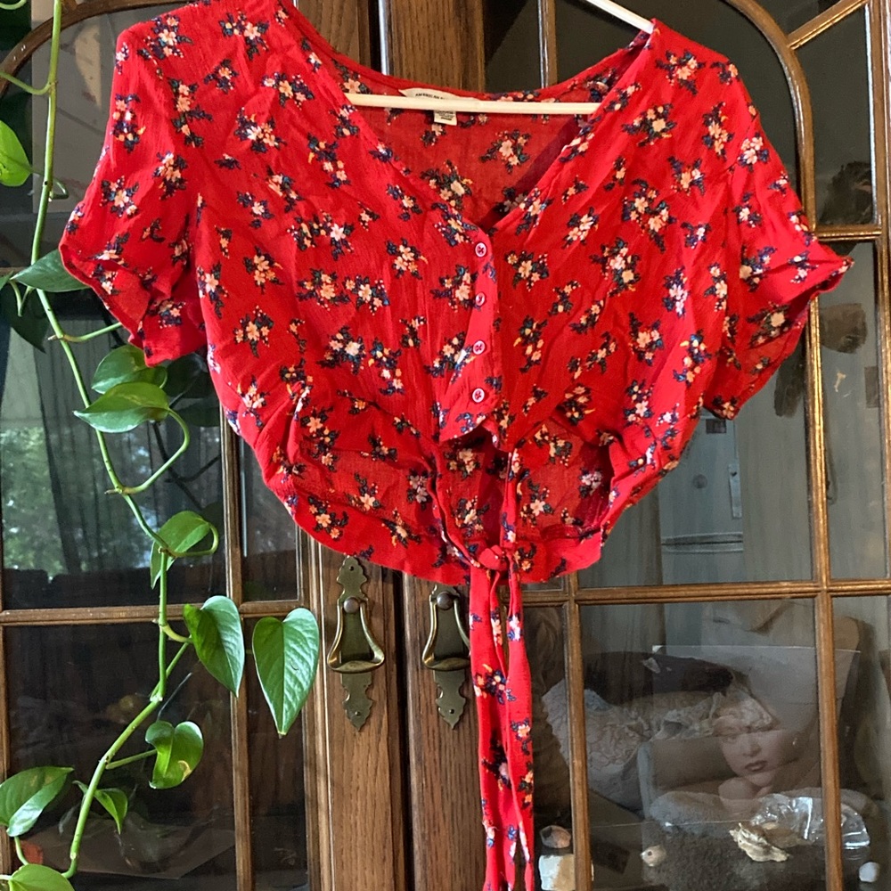 American Eagle Outfitters Red Floral Crop top